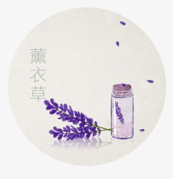 紫色的瓶子手绘薰衣草高清图片