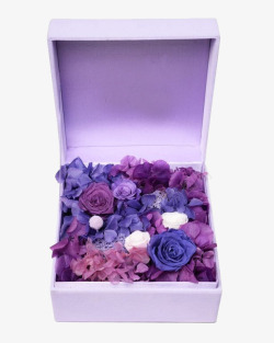 生花紫色生花礼盒方形绒布花盒高清图片