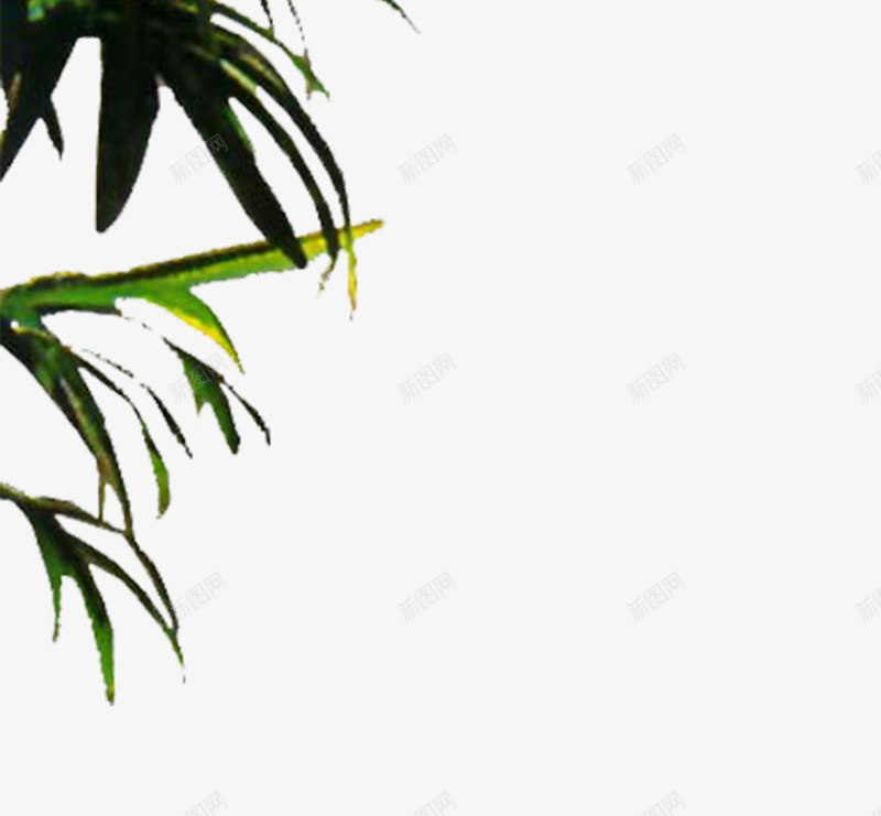 植物png免抠素材_新图网 https://ixintu.com 3D效果图处理 PS后期处理 室内效果元素 植物 绿色植物