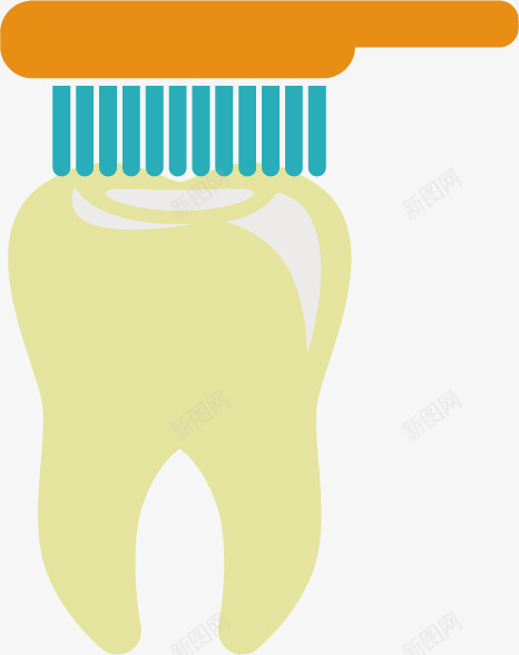 牙科洗牙清洁形象图png免抠素材_新图网 https://ixintu.com 洗牙 清洁 牙齿