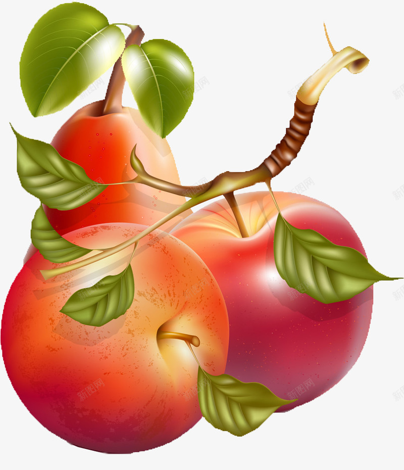 卡通水果手绘水果手绘png免抠素材_新图网 https://ixintu.com 3d苹果图案 可口苹果图案 大个苹果 大个苹果图案 矢量苹果图案 立体苹果图案 红苹果 红苹果图案 苹果 苹果图案 苹果图片 逼真苹果图案