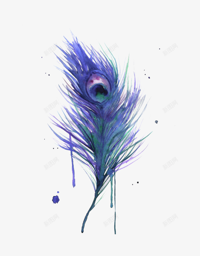 紫色孔雀羽毛png免抠素材_新图网 https://ixintu.com 一个 卡通 孔雀 手绘 简图 紫色的 羽毛 飘逸
