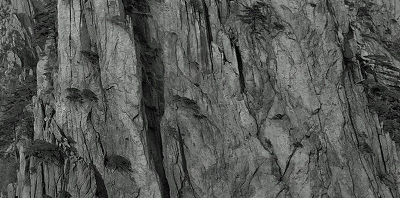 峭壁上的松树png免抠素材_新图网 https://ixintu.com 峭壁 松树 灰色