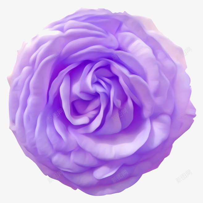 蔷薇png免抠素材_新图网 https://ixintu.com 化妆品 化妆品素材 紫色 美 蔷薇