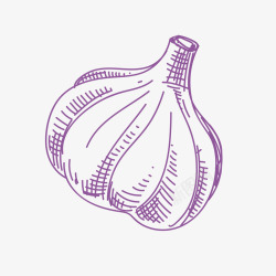蒜米手绘紫色大蒜矢量图高清图片