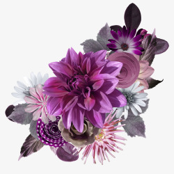 大气紫色花朵素材