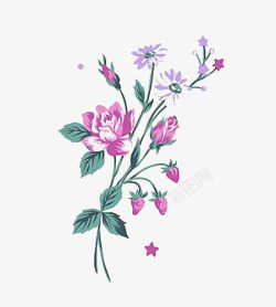 紫薇花花朵高清图片