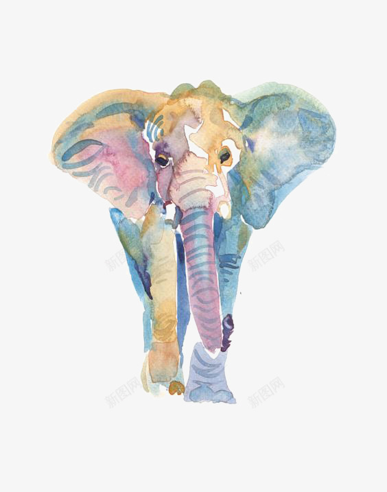 大象png免抠素材_新图网 https://ixintu.com 创意大象 动物 小象 手绘大象 水彩大象
