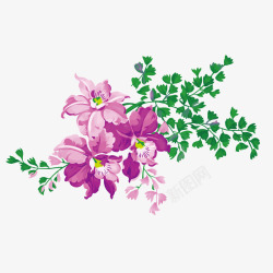 紫草手绘紫色花草绿叶高清图片