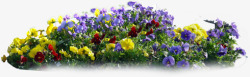 黄红绿蓝紫色黄紫色小花景观花丛高清图片
