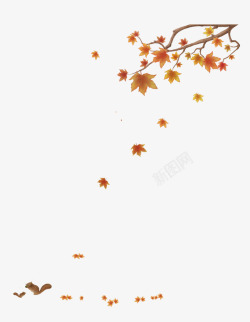 灰红色秋季飘落的枫叶素材