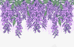 细枝紫藤背景图高清图片