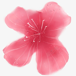 水粉红色鲜花素材