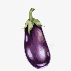 水彩茄子紫色茄子矢量图高清图片