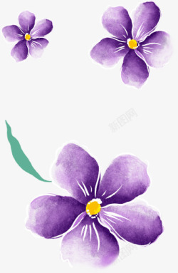 紫色水彩花朵插画素材