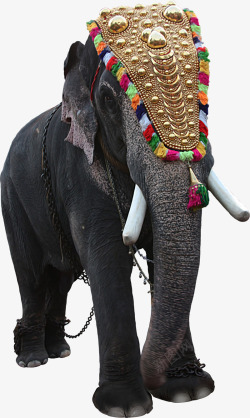 印度风情女人装饰大象高清图片