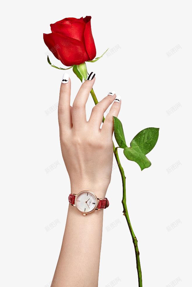 手拿着玫瑰花png免抠素材_新图网 https://ixintu.com 手 拿着玫瑰花的手 玫瑰 玫瑰花