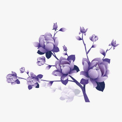紫色枝叶鲜花紫草素材