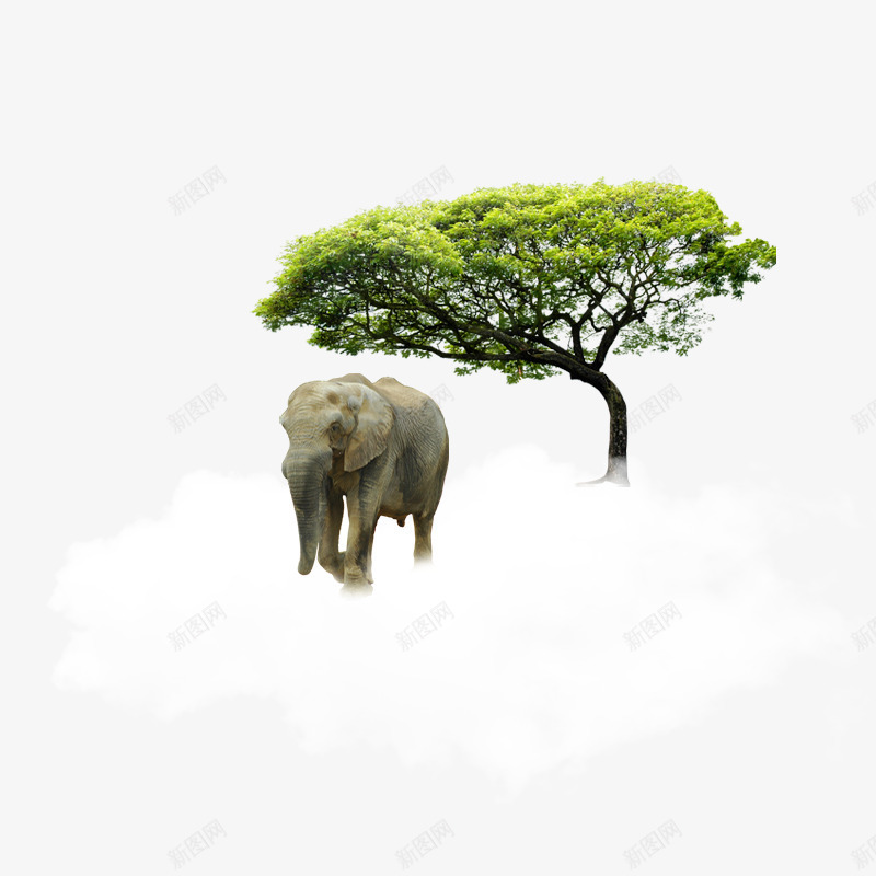 树木png免抠素材_新图网 https://ixintu.com 大象 插画 树木 装饰图 风景