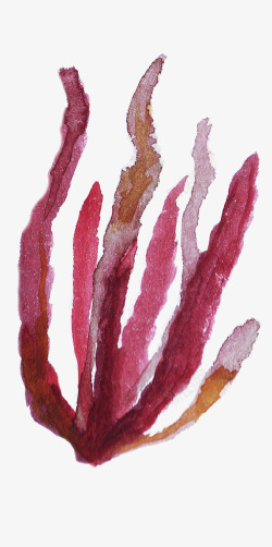 紫色海草植物素材