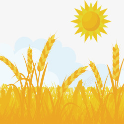 金色的麦田金色太阳下的金色小麦矢量图高清图片