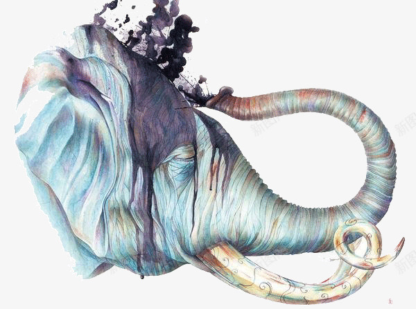 水彩大象插画png免抠素材_新图网 https://ixintu.com 动物 大象 彩绘 彩色 手绘 插画 水彩