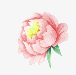 粉色水彩花朵装饰图案素材