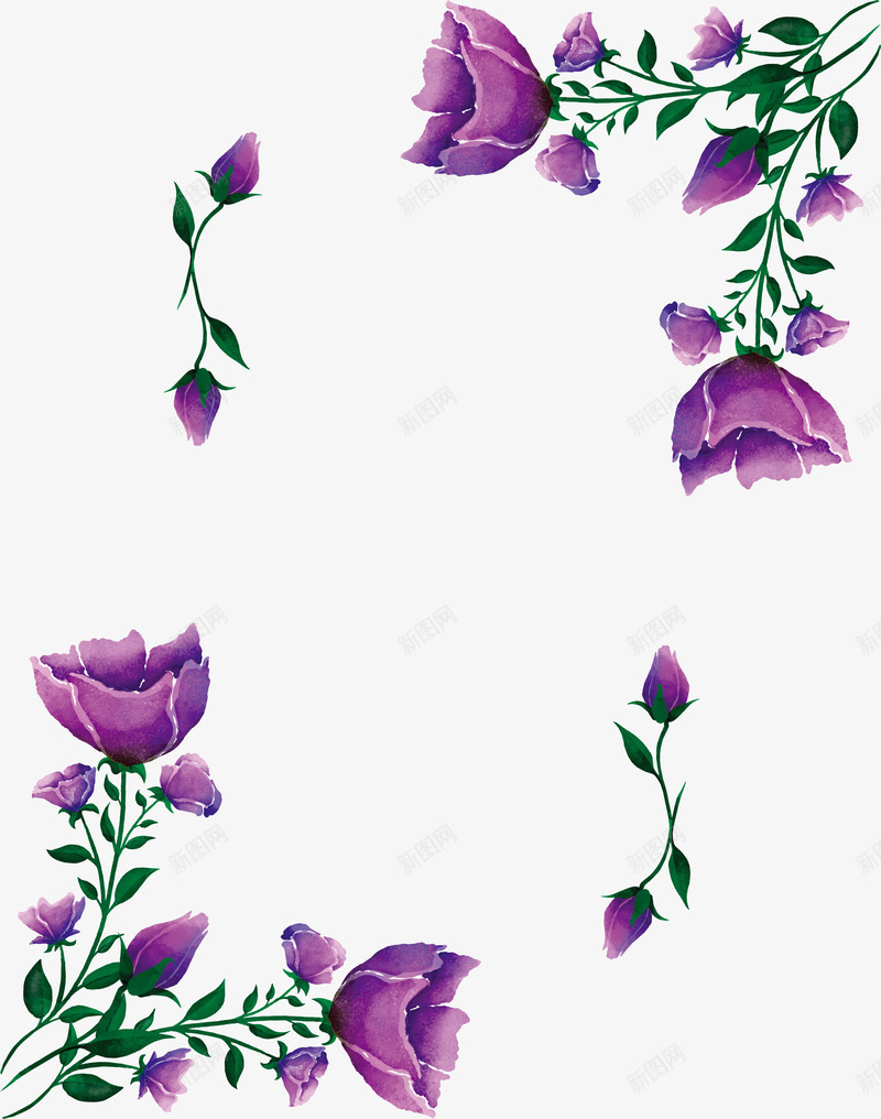 紫色玫瑰边框png免抠素材_新图网 https://ixintu.com 水彩植物 玫瑰 玫瑰花 玫瑰边框 矢量png 紫色玫瑰