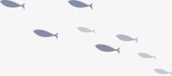 灰色大海灰色扁平大海鱼群高清图片
