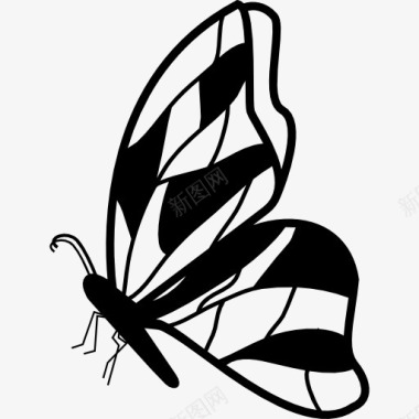 蝴蝶翅膀侧面不规则标图标图标