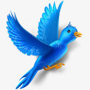 飞行鸟推特闪耀动物社会网络社会素材