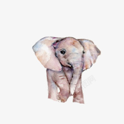 卡通可爱动物海报装饰大象素材