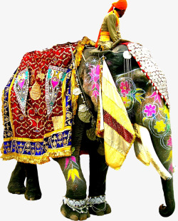 人骑大象骑大象的人高清图片