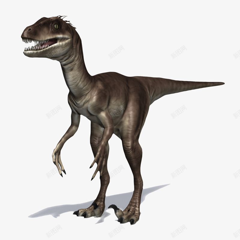 尖齿利爪3D恐龙png免抠素材_新图网 https://ixintu.com 动物 恐龙 肉食动物 长脖子恐龙