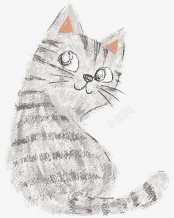 宠物猫咪素材