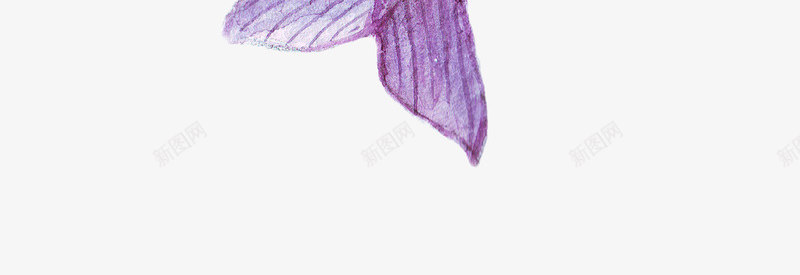 紫色鲸鱼png免抠素材_新图网 https://ixintu.com 一条 卡通 可爱 手绘 简图 紫色 跳跃 鲸鱼