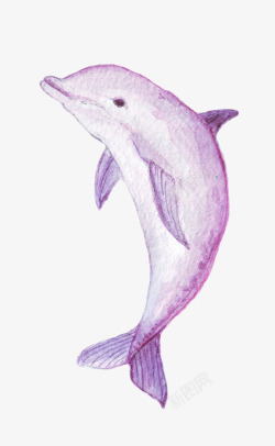 一条鲸鱼紫色鲸鱼高清图片