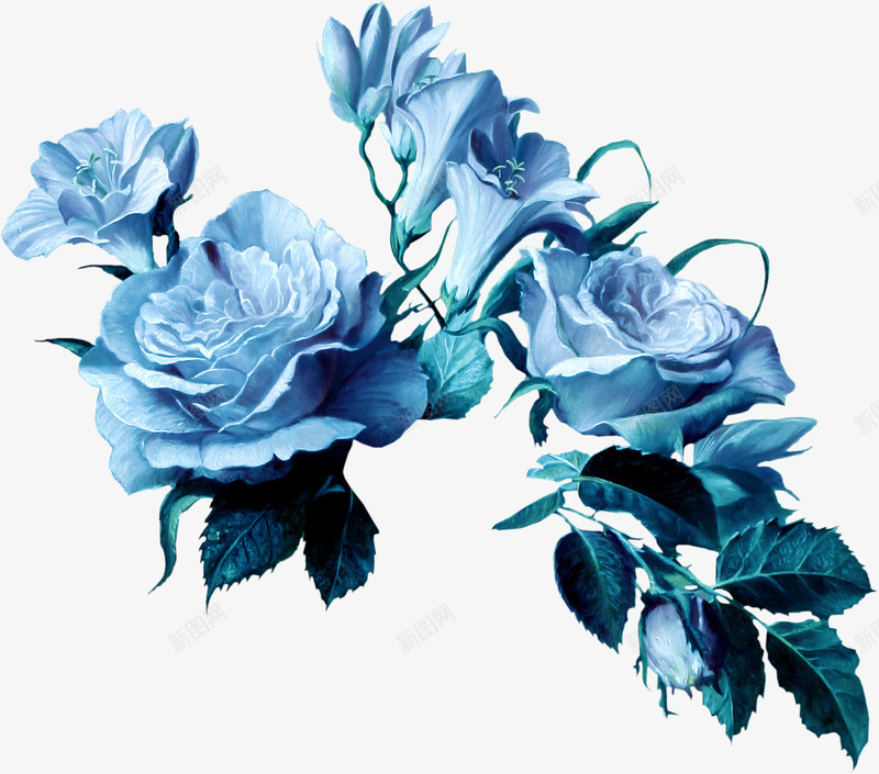 花卉png免抠素材_新图网 https://ixintu.com 植物 花 花朵 蓝玫瑰 蓝色 鲜花