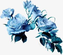 蓝玫瑰花朵花卉高清图片