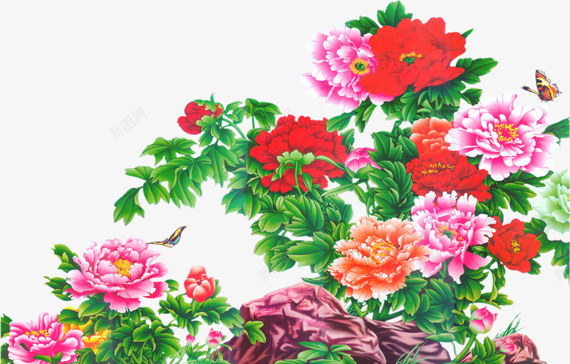 彩色大气牡丹花朵植物png免抠素材_新图网 https://ixintu.com 大气 彩色 植物 牡丹 花朵