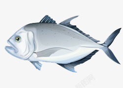 卡通手绘灰色海鱼素材