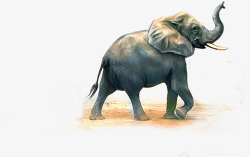 手绘大象动物素材
