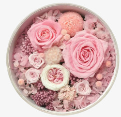 粉色花朵礼盒素材