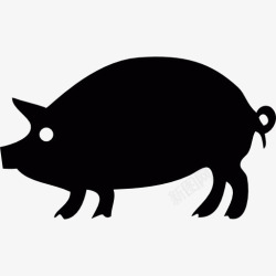 猪轮廓猪的轮廓图标高清图片