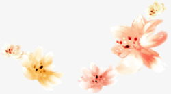韩国花朵海报素材