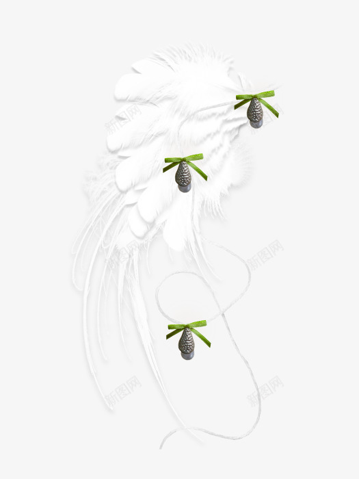 花朵白色纯色背景png免抠素材_新图网 https://ixintu.com 白色 素材 背景 花朵