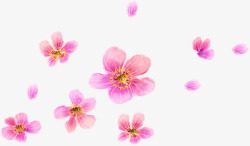 写意手绘粉色花卉素材
