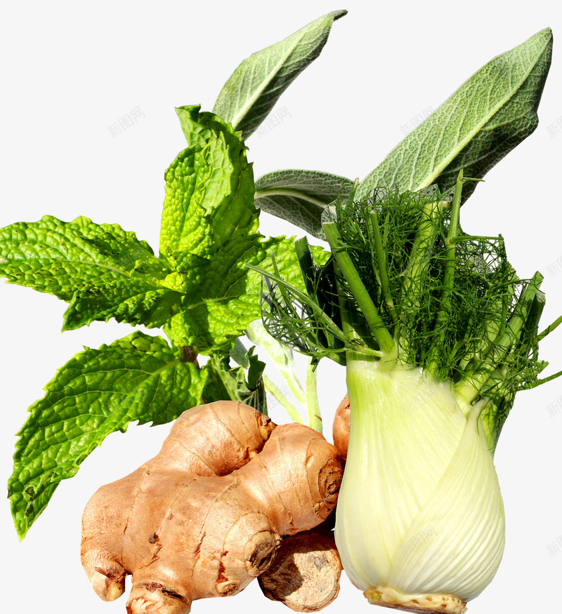 有机蔬菜配料png免抠素材_新图网 https://ixintu.com 大蒜 姜 有机蔬菜 蔬菜 薄荷 配料 香料