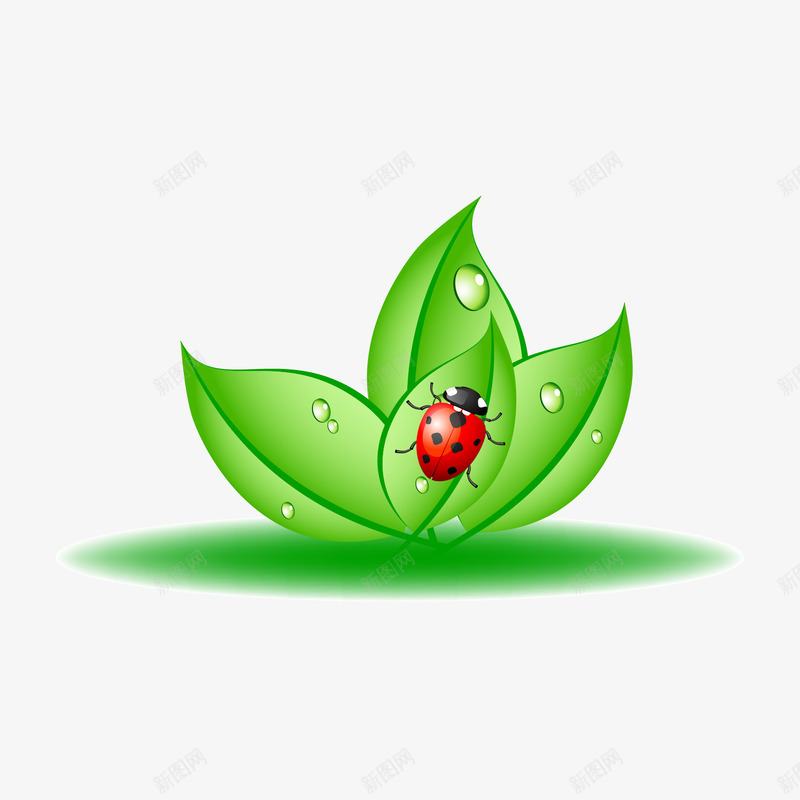 绿色环保健康元素png免抠素材_新图网 https://ixintu.com 环保 甲壳虫 绿叶 绿色 露珠
