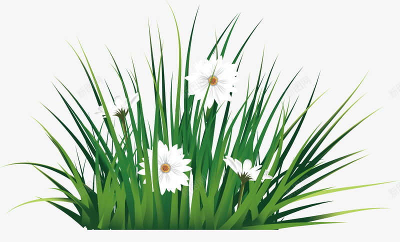 盛开的白色小花png免抠素材_新图网 https://ixintu.com 创意 卡通 商务 彩色手绘 植物 白色花 简约